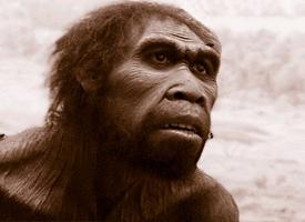 Photo: African homo erectus